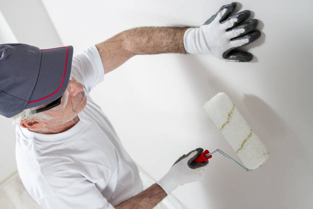 Best Black Mold Removal  in Delshire, OH
