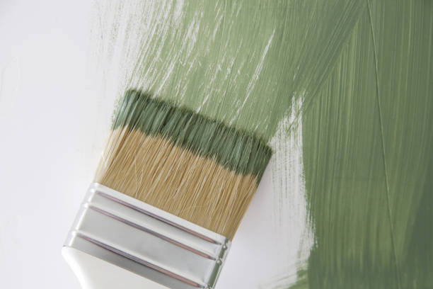 Mold Remediation for Rental Properties in Delshire, OH