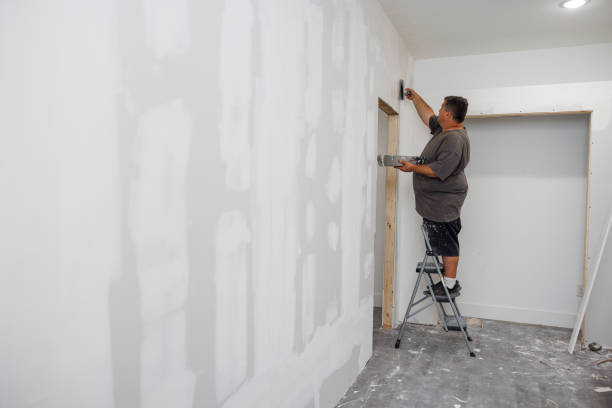 Best Basement Mold Removal  in Delshire, OH