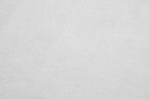Trusted Delshire, OH Mold Removal Experts