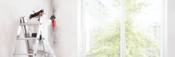 Best Mold Prevention Services  in Delshire, OH