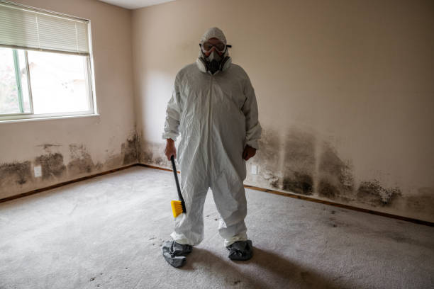 Best HVAC Mold Inspection and Cleaning  in Delshire, OH