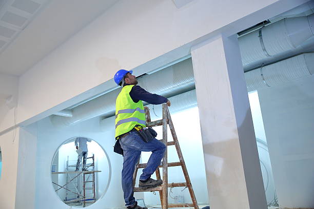 Best Basement Mold Removal  in Delshire, OH