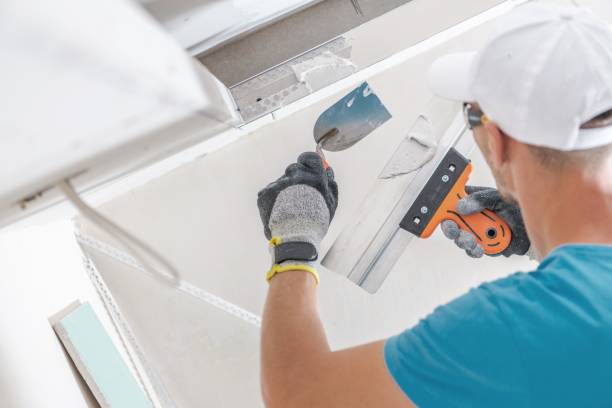 Best Crawl Space Mold Remediation  in Delshire, OH